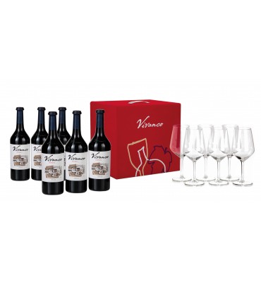 Caja de 6 botellas Vivanco...